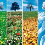 agenda chamanisme 4 saisons