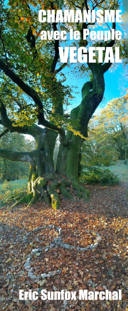 arbre-triskel-b