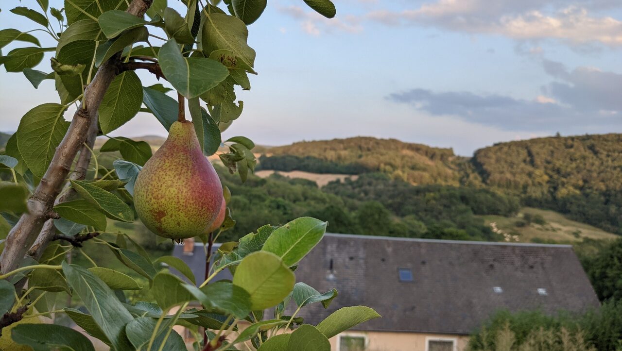 Lieu-pratique-stage-chamanisme-yoga-tantra-morvan013