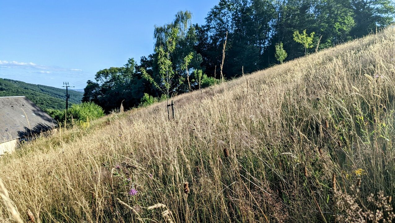 Lieu-pratique-stage-chamanisme-yoga-tantra-morvan044