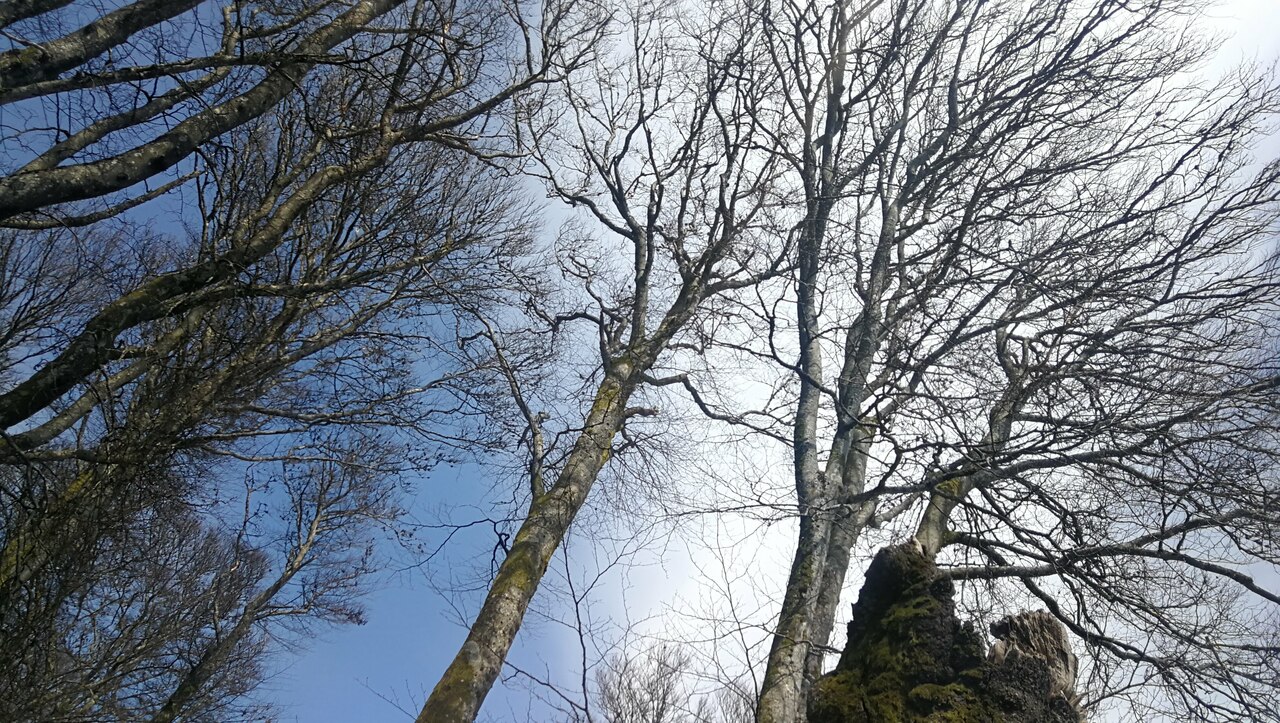 lieu-hebergement-chamanisme-nature-villapourcon-parc-naturel-morvan-022