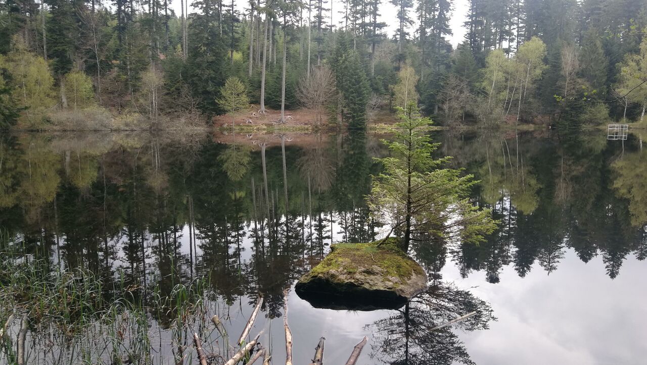 lieu-hebergement-chamanisme-nature-villapourcon-parc-naturel-morvan-025