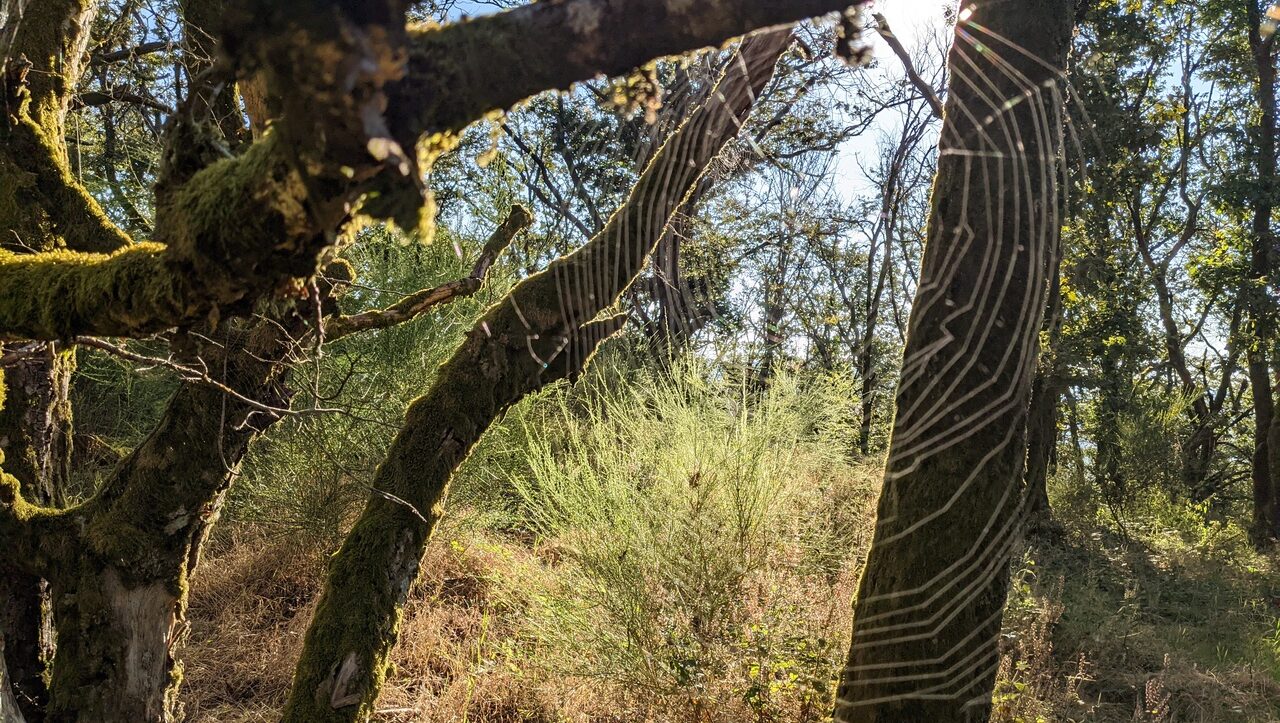 lieu-hebergement-chamanisme-nature-villapourcon-parc-naturel-morvan-038