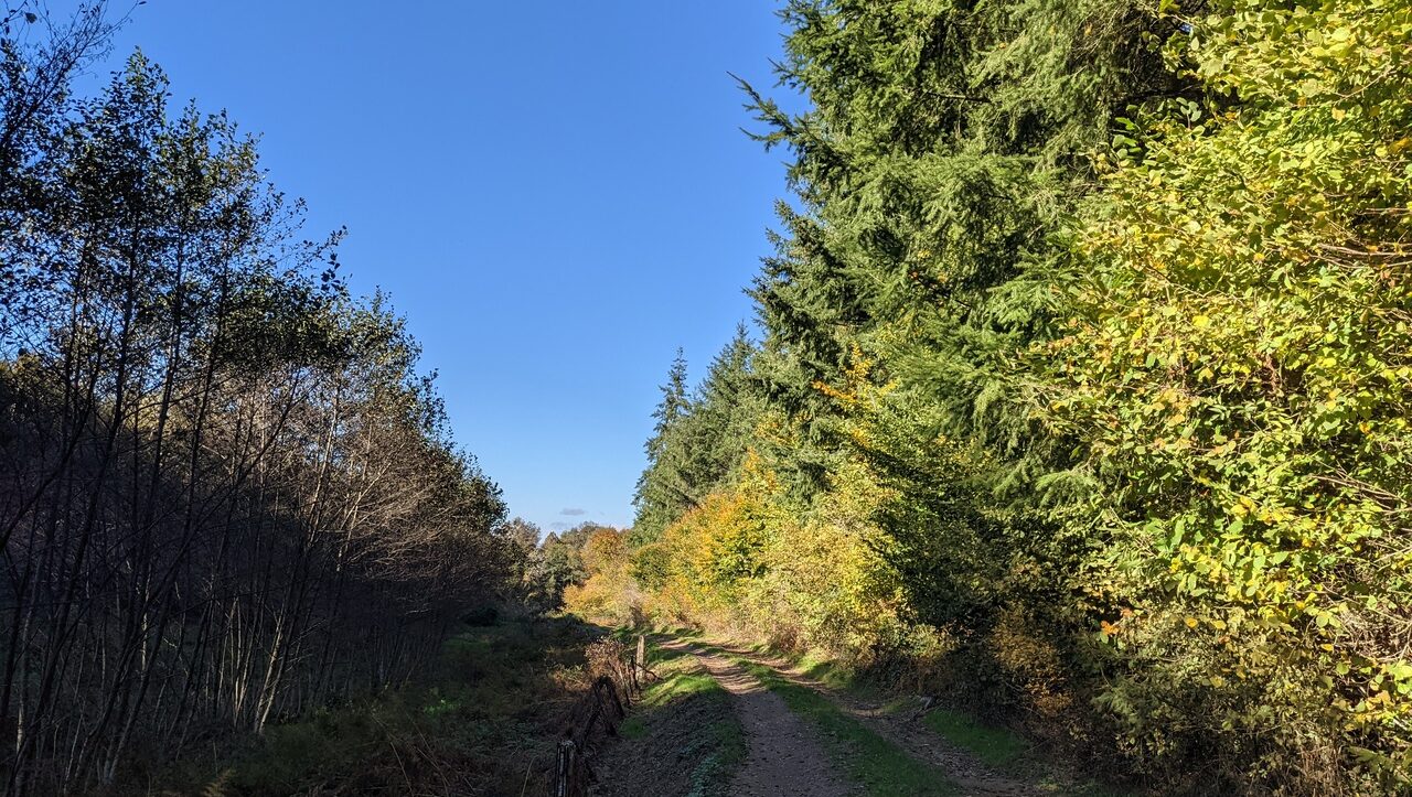lieu-hebergement-chamanisme-nature-villapourcon-parc-naturel-morvan-042