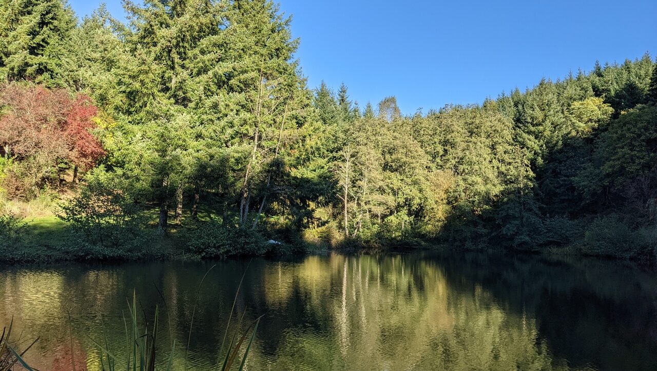 lieu-hebergement-chamanisme-nature-villapourcon-parc-naturel-morvan-046