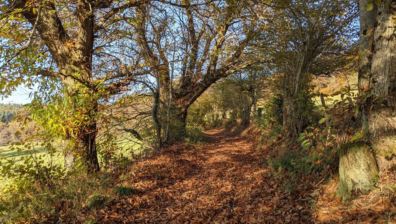 lieu-hebergement-chamanisme-nature-villapourcon-parc-naturel-morvan-047