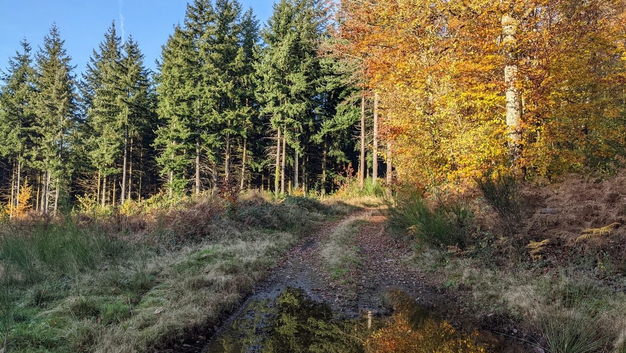 lieu-hebergement-chamanisme-nature-villapourcon-parc-naturel-morvan-049