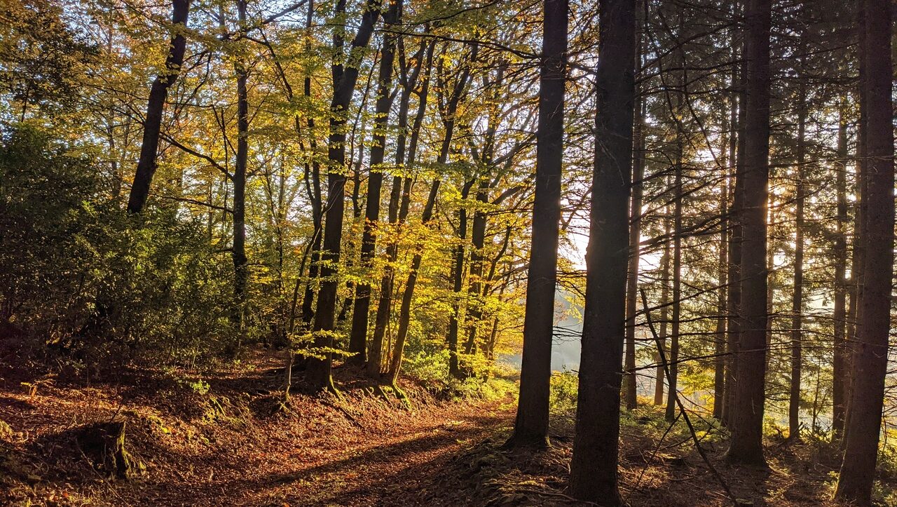 lieu-hebergement-chamanisme-nature-villapourcon-parc-naturel-morvan-051