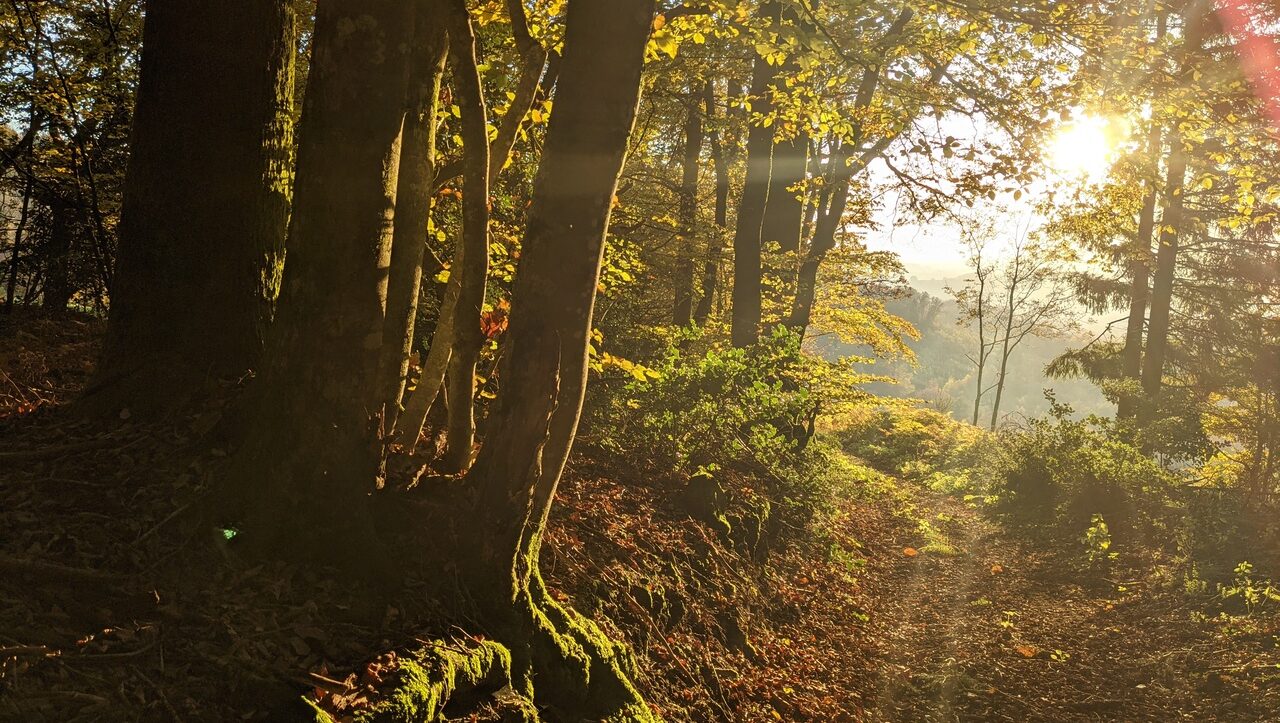 lieu-hebergement-chamanisme-nature-villapourcon-parc-naturel-morvan-052