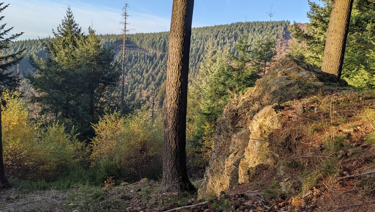 lieu-hebergement-chamanisme-nature-villapourcon-parc-naturel-morvan-056