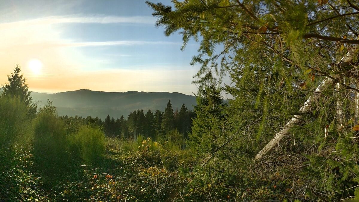 lieu-hebergement-chamanisme-nature-villapourcon-parc-naturel-morvan-057