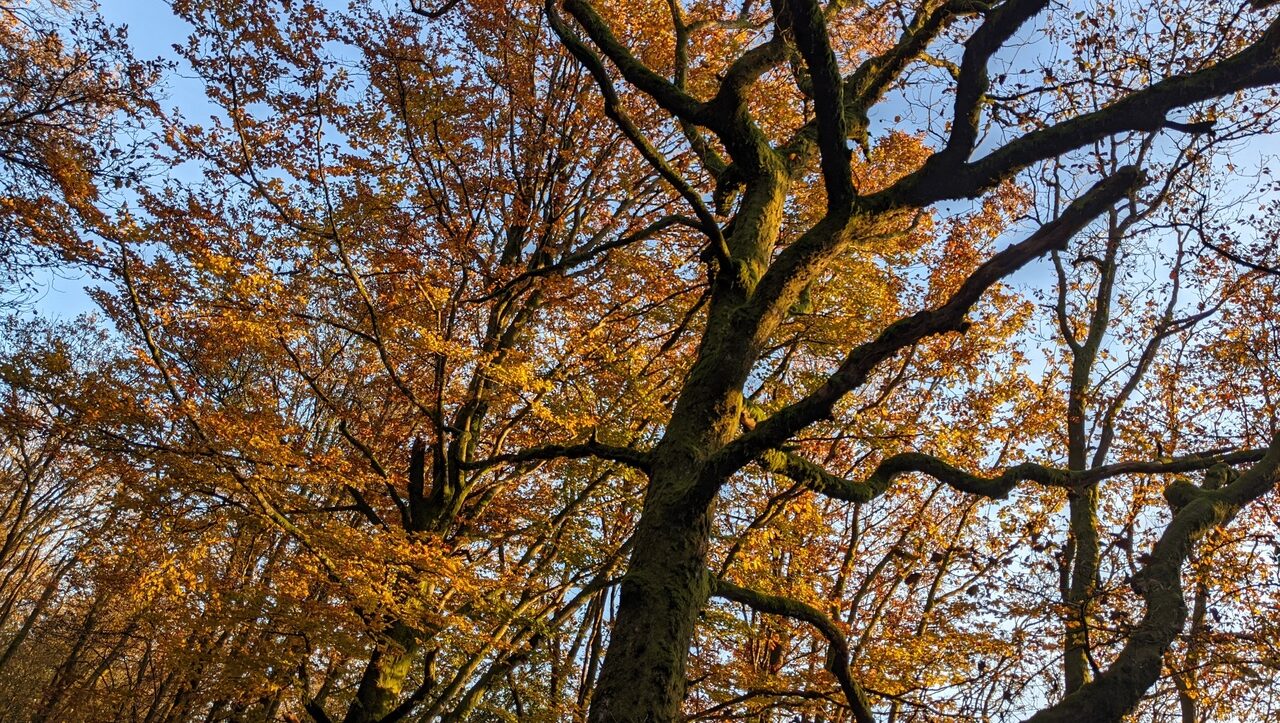 lieu-hebergement-chamanisme-nature-villapourcon-parc-naturel-morvan-059