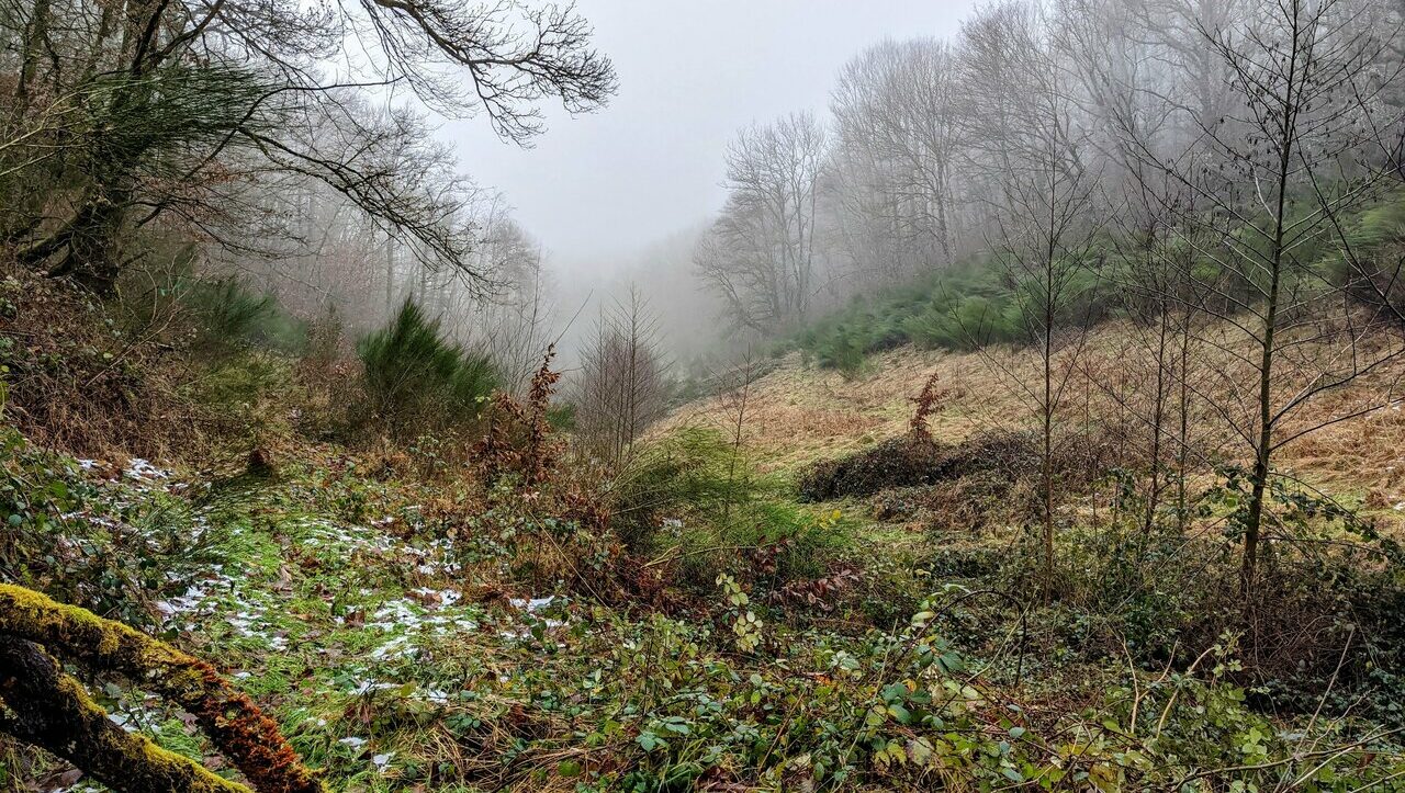 lieu-hebergement-chamanisme-nature-villapourcon-parc-naturel-morvan-063