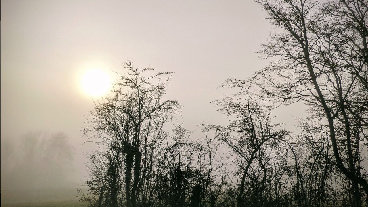 lieu-hebergement-chamanisme-nature-villapourcon-parc-naturel-morvan-067