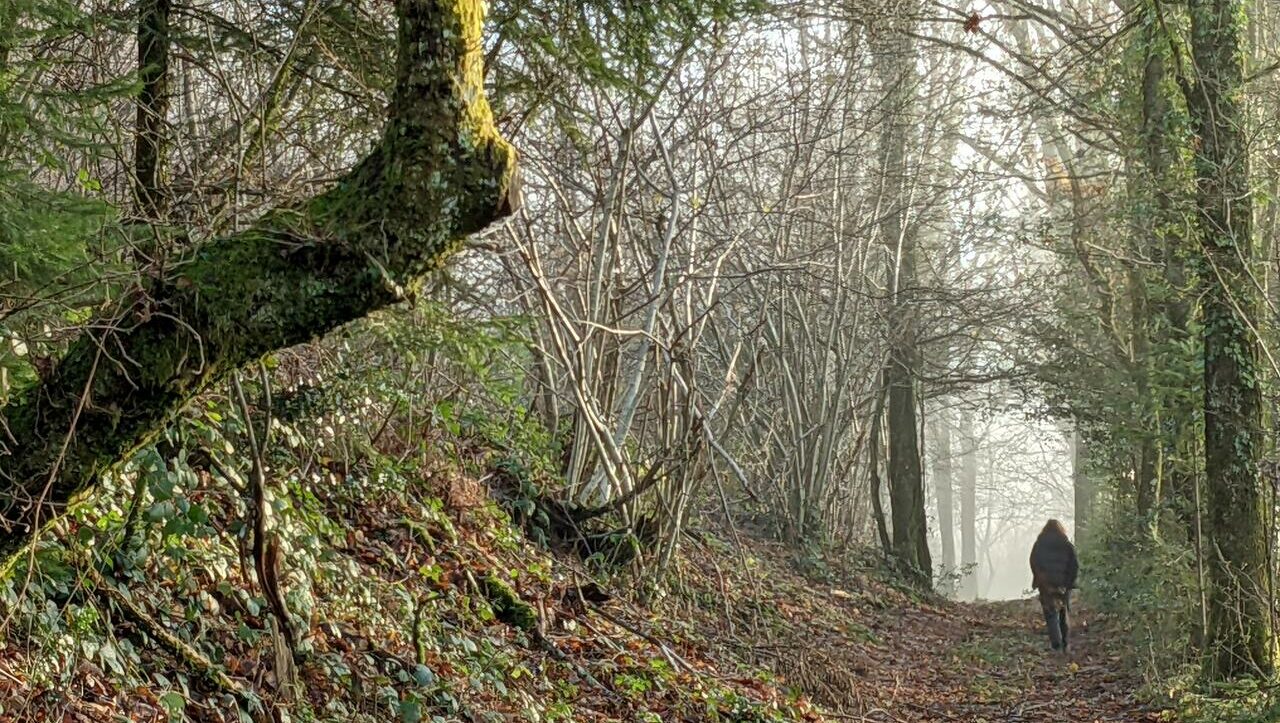 lieu-hebergement-chamanisme-nature-villapourcon-parc-naturel-morvan-068