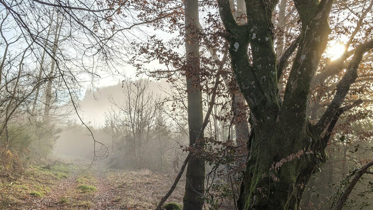 lieu-hebergement-chamanisme-nature-villapourcon-parc-naturel-morvan-069