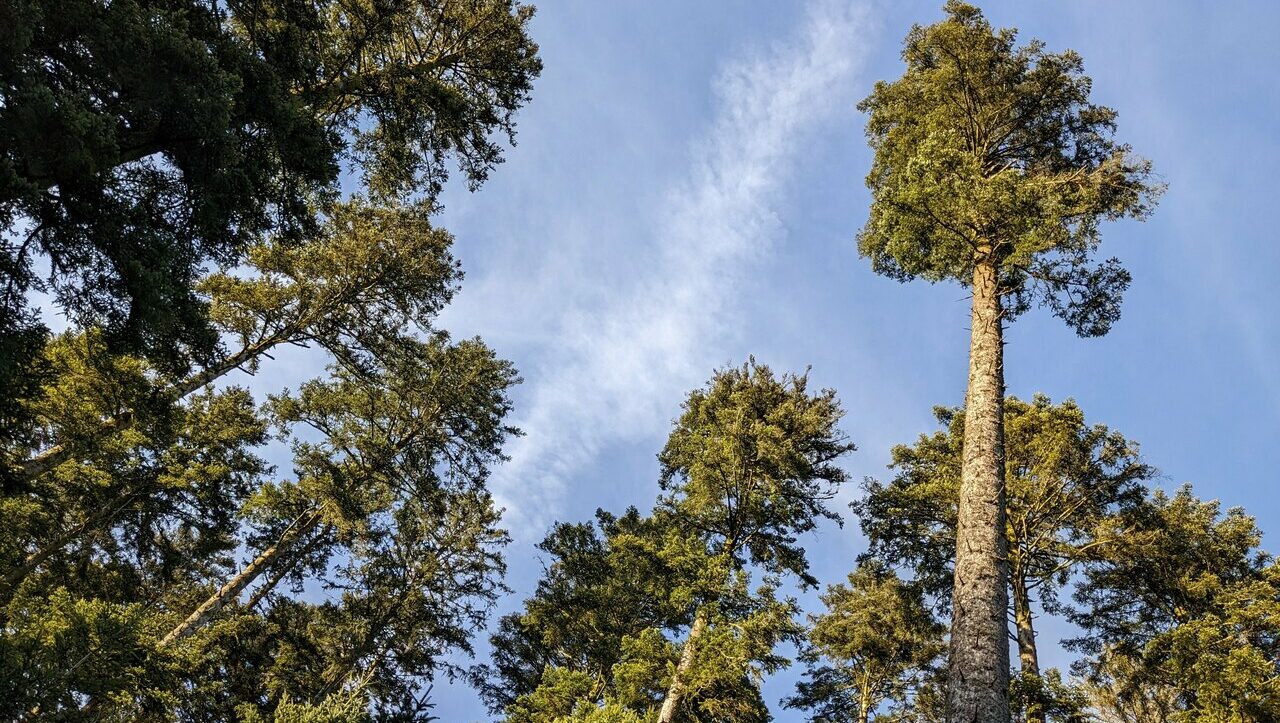lieu-hebergement-chamanisme-nature-villapourcon-parc-naturel-morvan-073