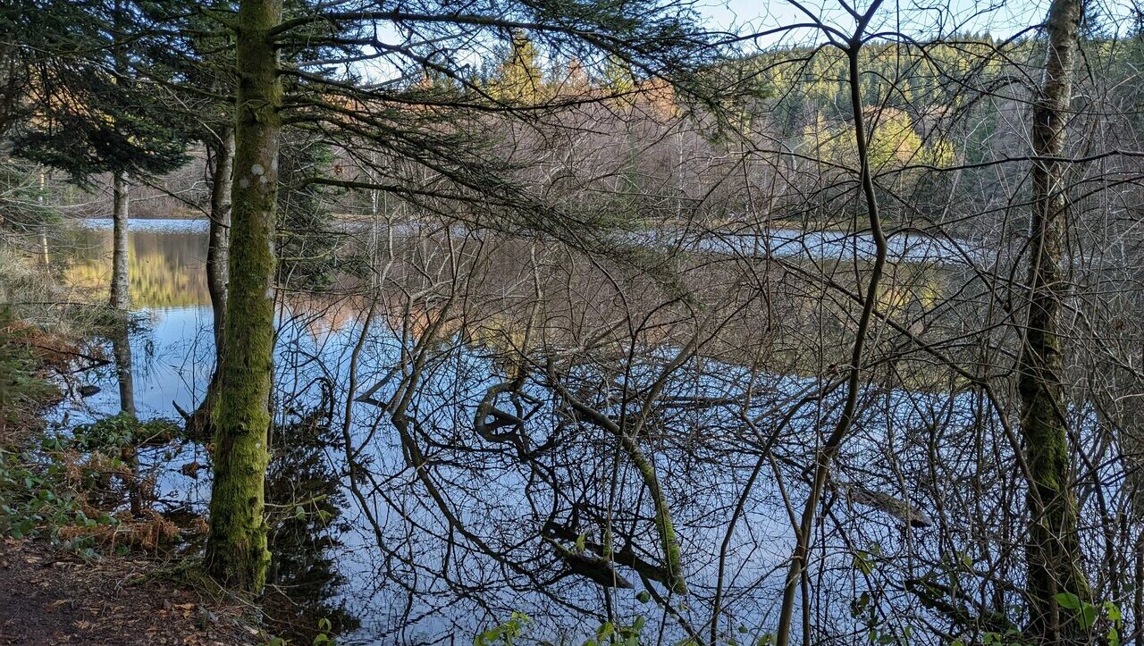 lieu-hebergement-chamanisme-nature-villapourcon-parc-naturel-morvan-074