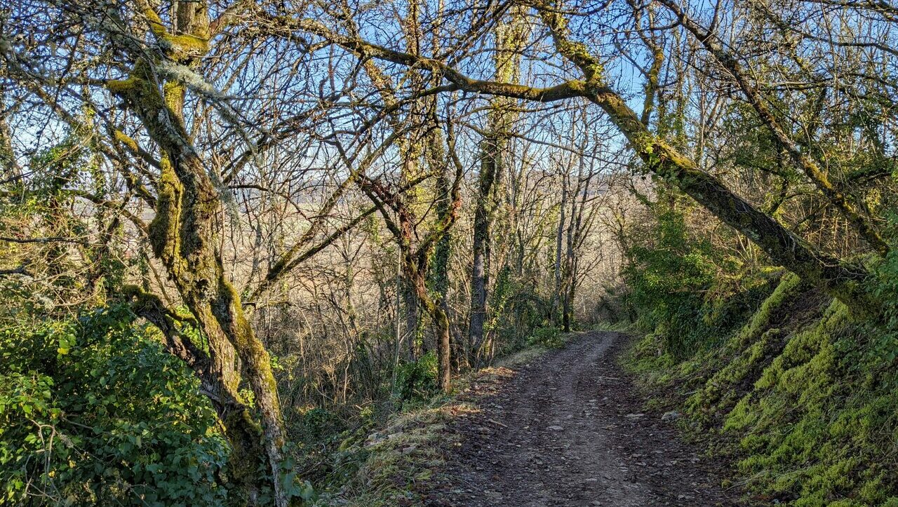 lieu-hebergement-chamanisme-nature-villapourcon-parc-naturel-morvan-084