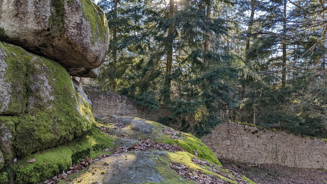 lieu-hebergement-chamanisme-nature-villapourcon-parc-naturel-morvan-085
