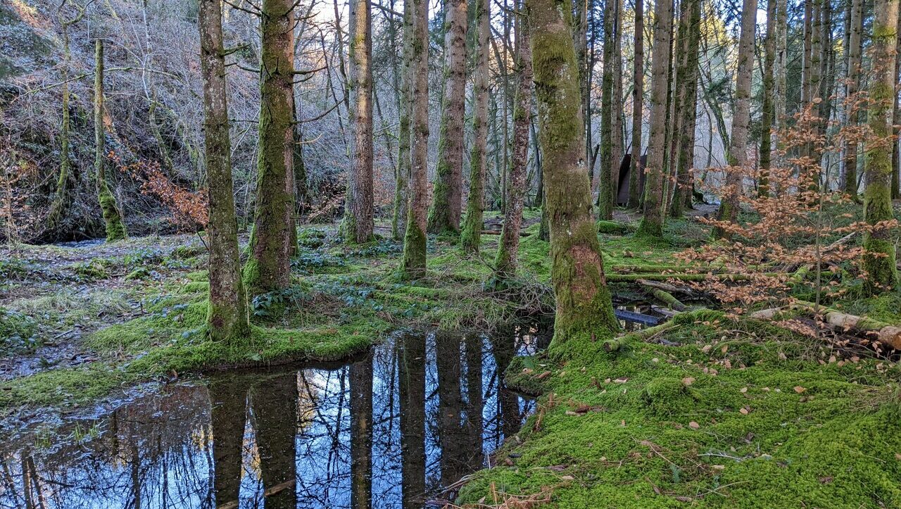 lieu-hebergement-chamanisme-nature-villapourcon-parc-naturel-morvan-086