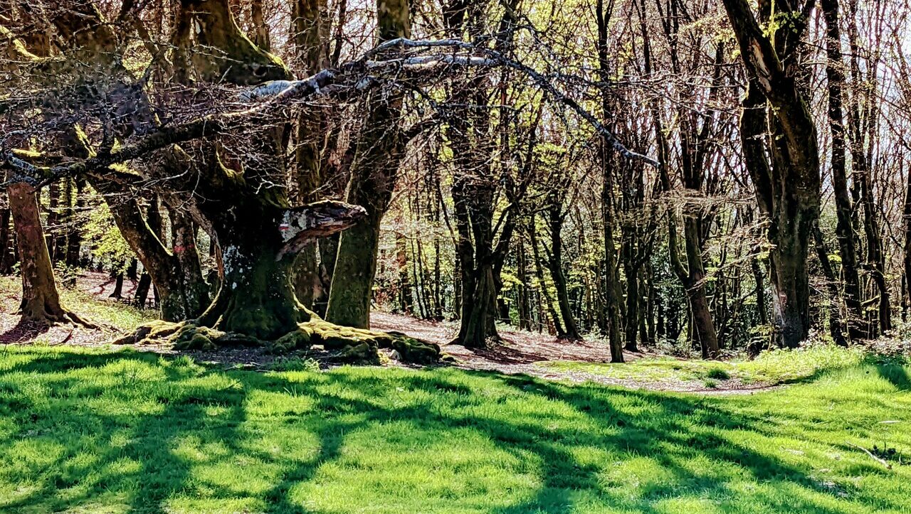 lieu-hebergement-chamanisme-nature-villapourcon-parc-naturel-morvan-088