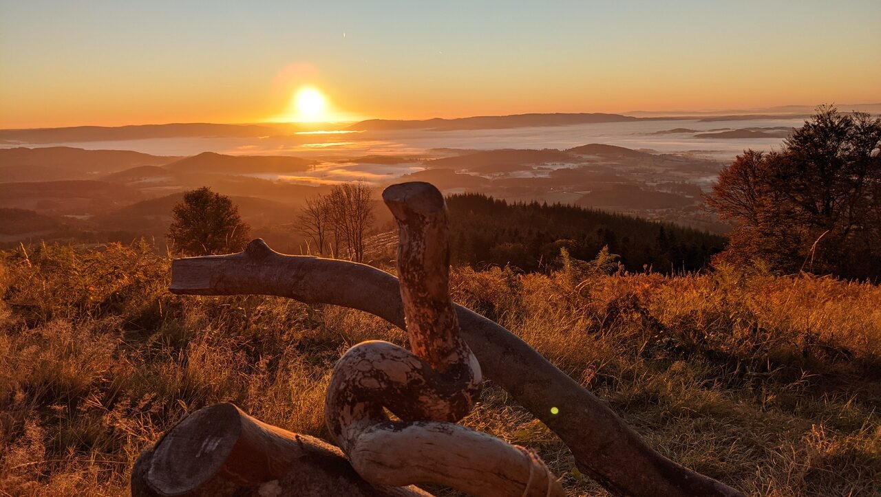 mont-beuvrais-bibracte-morvan-022