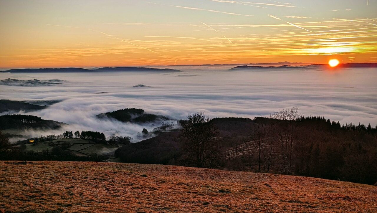 mont-beuvrais-bibracte-morvan-040