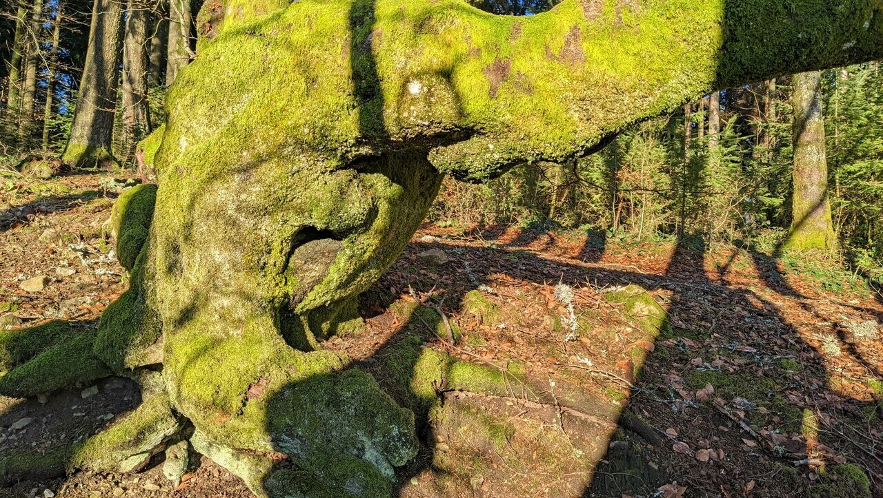 mont-beuvrais-bibracte-morvan-047