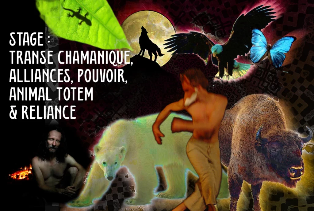 Stage Transe Chamanique Alliances Pouvoir Animal Totem Reliance