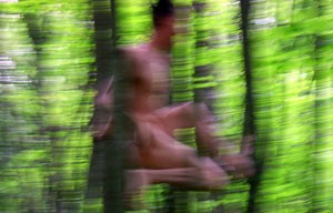 esprit_de_la_foret2-300×192
