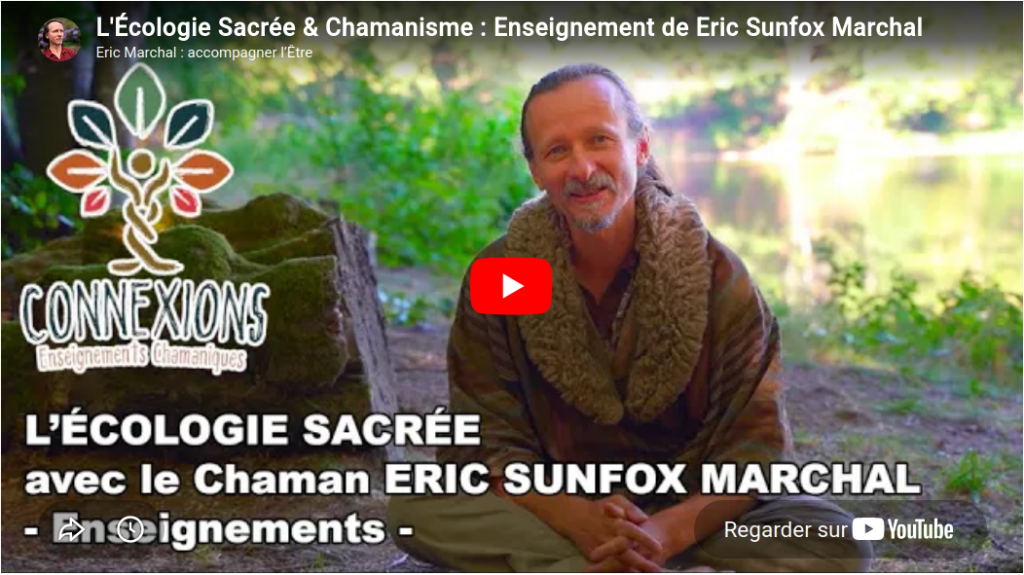 Connexions l écologie sacrée enseignements du chaman eric sunfox marchal
